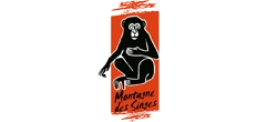 Montagne des Singes