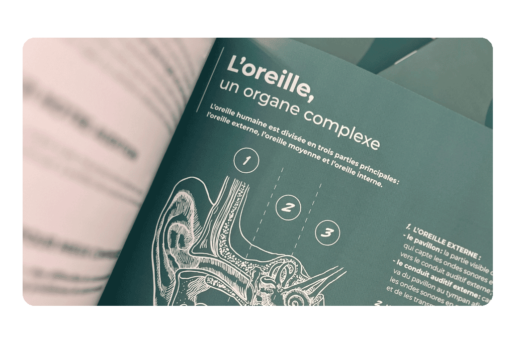Schéma pédagogique du fonctionnement de l’oreille dans le Guide de l’Audition