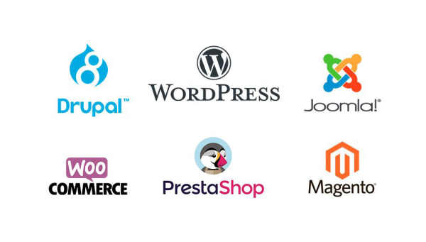 Guide pratique : comment choisir le CMS idéal pour votre projet digital